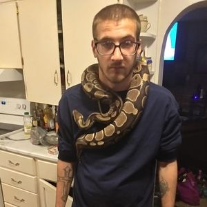 Meet your Posher, Phillip